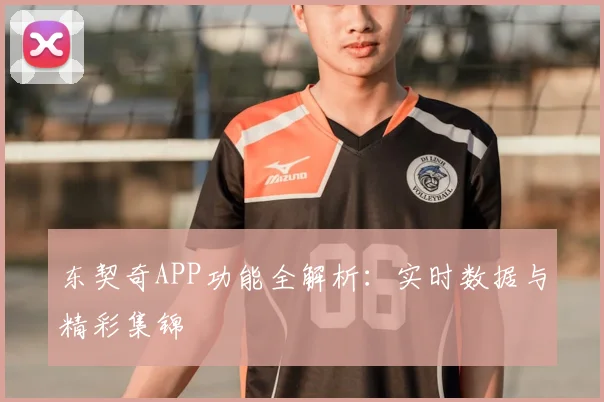 东契奇APP功能全解析:实时数据与精彩集锦