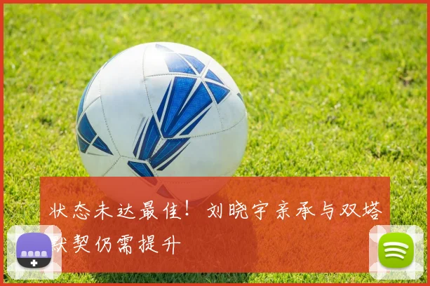 状态未达最佳！刘晓宇亲承与双塔默契仍需提升