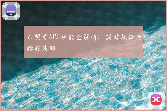东契奇APP功能全解析：实时数据与精彩集锦