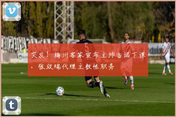 突发!梅州客家宣布主帅吉诺下课,张效瑞代理主教练职务